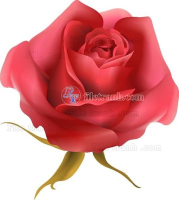 Tải file Vetores (568) (ảnh gốc) 300dpi Vetores (568)