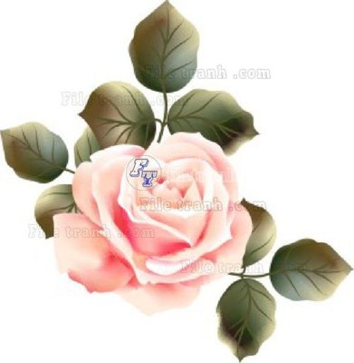 File gốc Vetores (569)_1 (in tráng gương) ốp tường