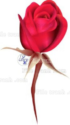 File tranh gốc Vetores (570)_1 (bản quyền) độc đáo