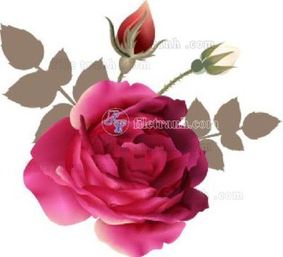 Download file gốc Vetores (575)_1 (in mica) trang trí