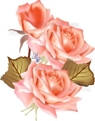 File gốc Vetores (576) (in ấn) không giới hạn