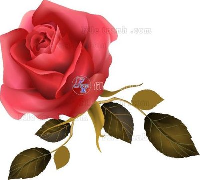 File ảnh Vetores (577) (gốc) in Hiflex