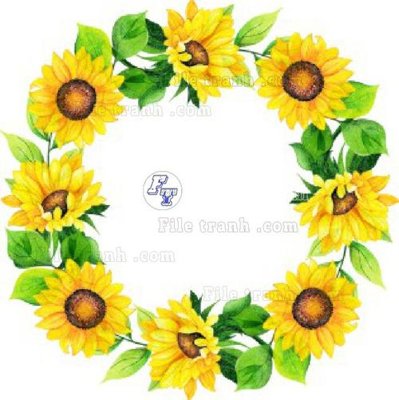 Tải file Vetores (595)_1 (ảnh gốc) in tráng gương