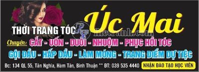 File gốc bang hieu quang cao (29) (in lụa) tranh mã đáo