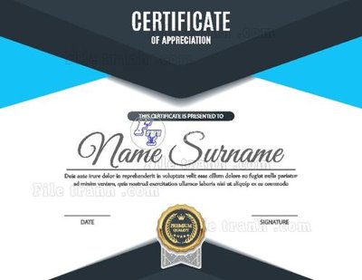 File gốc mau chung nhan 101 (in tráng gương) hiện đại