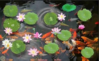 Download file File in sàn nhà thảm gạch FTS11 (gốc) in mica đèn LED