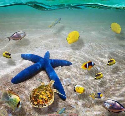 File gốc File in sàn nhà thảm gạch FTS70 (vector) cho in ấn