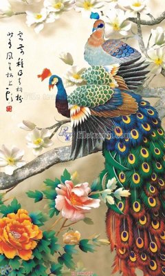 Cung cấp file tranh gốc File gốc tranh chim công CC74 độc quyền