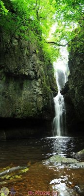 File in trần File phong thủy đứng thác nước PTD295 (file gốc) phong thủy