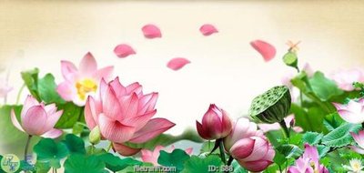 File gốc Tranh cửu ngư quần hội sen cá S88 (in lụa) trang trí tường