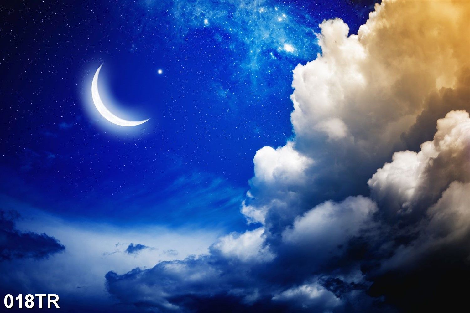 File in tranh trần nhà 3d 018TR