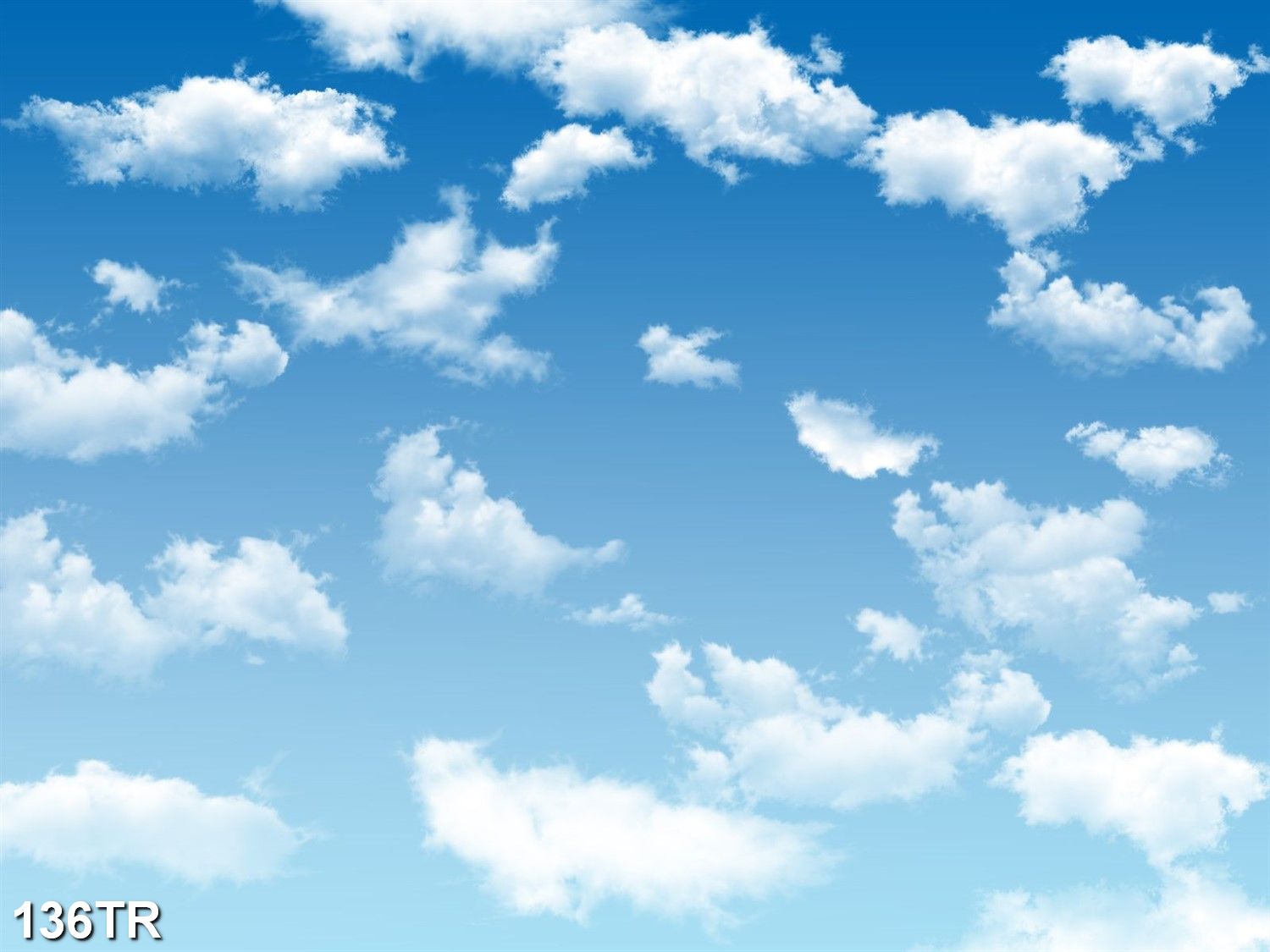 File in tranh trần nhà 3d 136TR