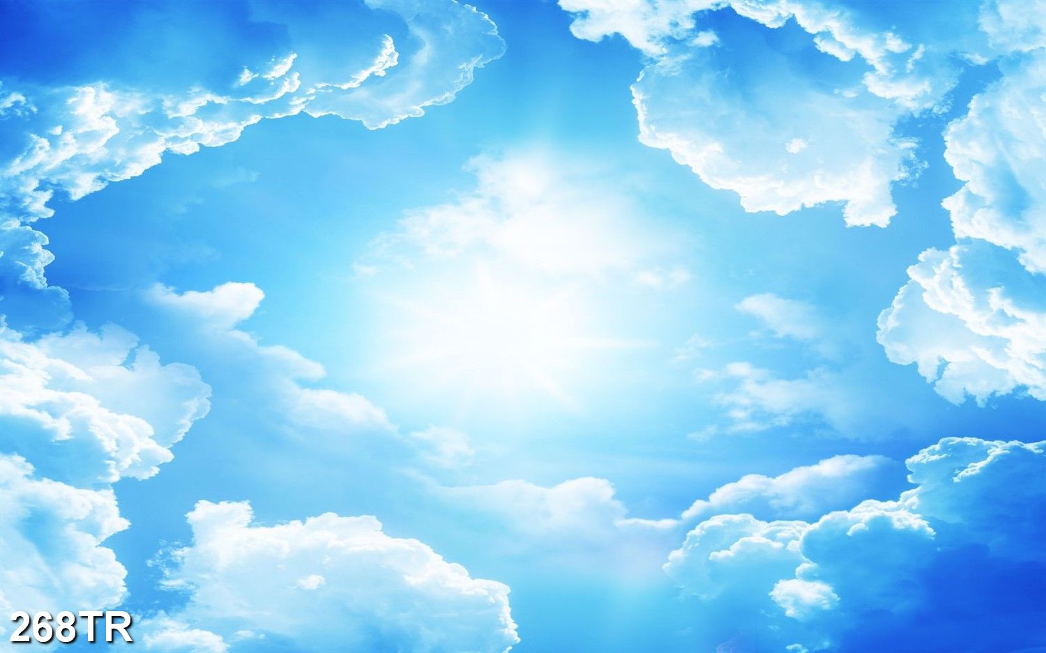 File in tranh trần nhà 3d 268TR