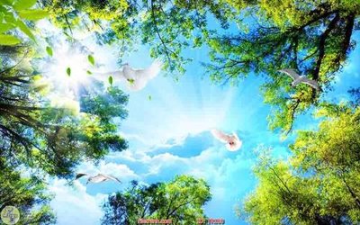 Tải file gốc File psd trần 3d TR100 (bản PSD) gốc