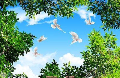 File gốc File psd trần 3d TR105 (dành cho trang trí nội thất)