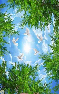 File tranh File psd trần 3d TR24 (ảnh gốc) độc quyền