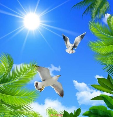 File tranh File psd trần 3d TR268 (bản gốc) trang trí văn phòng