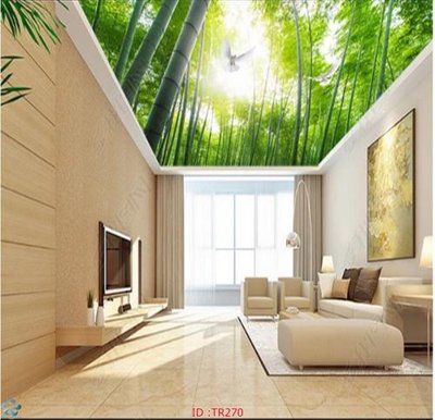 File ảnh File psd trần 3d TR270 (gốc) in quảng cáo ngoài trời