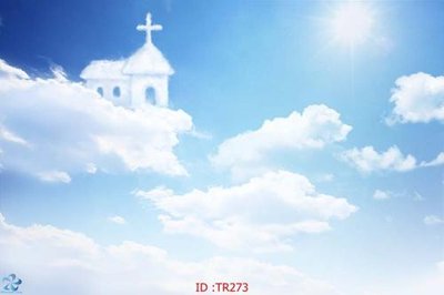 File tranh File psd trần 3d TR273 (gốc) in film