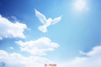 Tải file File psd trần 3d TR280 (ảnh gốc) file AI/EPS