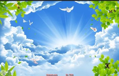 File in trần File psd trần 3d TR31 (bản gốc) đại dương