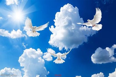 File in ấn File psd trần 3d TR320 (bản gốc) cao cấp