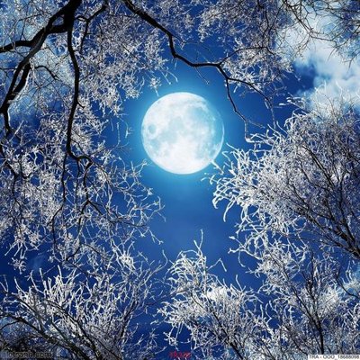 File gốc File psd trần 3d TR325 (in mica) làm quà tặng