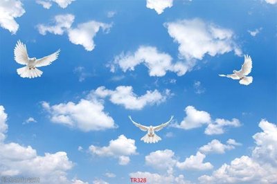 Download file gốc File psd trần 3d TR328 (in mica) logo