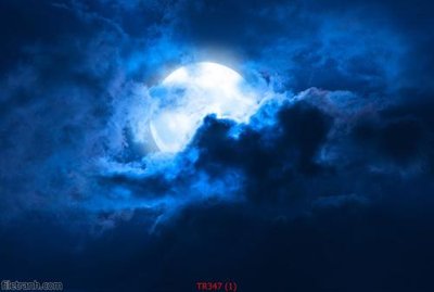 File gốc File psd trần 3d TR347 (thiết kế) độc quyền