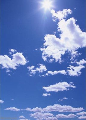 Tải file File psd trần 3d TR353 (ảnh gốc) độ phân giải 300dpi