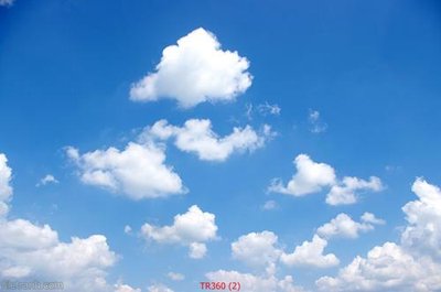 Tải file tranh File psd trần 3d TR360 (ảnh gốc) ngay