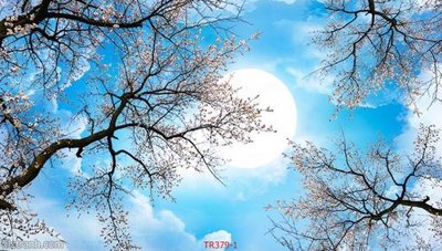 File tranh File psd trần 3d TR379 (gốc) in backlit film