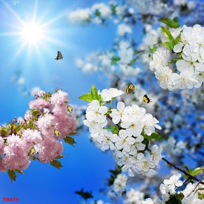 Download file File psd trần 3d TR419 (gốc) in mica bàn thờ