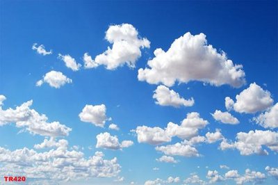 File PSD File psd trần 3d TR420 (bản gốc) chất lượng nhất