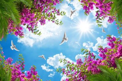 File tranh in trần File tranh trần mây 3d TR428 (ảnh gốc siêu nét)