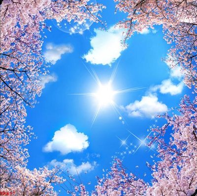 File gốc File tranh trần mây 3d TR437 (in mica) cắt laser