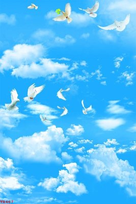 Ảnh mô tả file gốc in mica File tranh trần mây 3d TR467