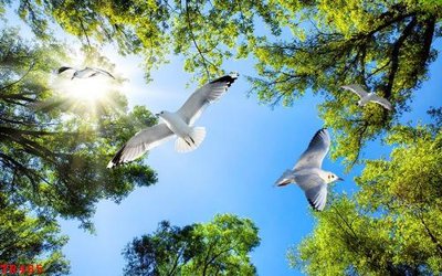 File gốc File tranh trần mây 3d TR485 (ảnh chi tiết) để in lụa