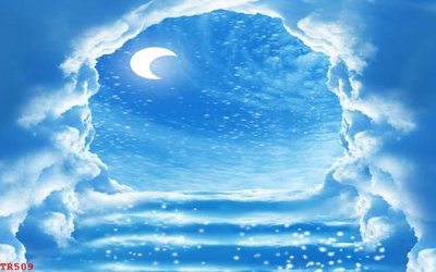 Tải file tranh gốc File tranh trần mây 3d TR509 chất lượng cao