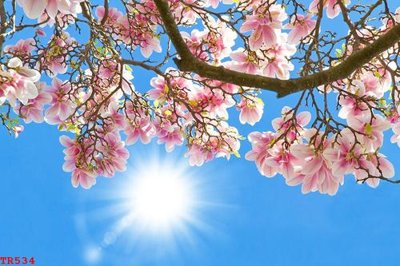 File tranh File tranh trần mây 3d TR534 (gốc) chủ đề động vật