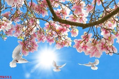 File tranh File tranh trần mây 3d TR551 (ảnh gốc) chi tiết rõ ràng