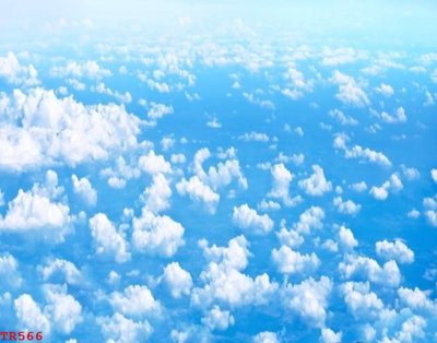 Tải file gốc File tranh trần mây 3d TR566 (để in lụa)