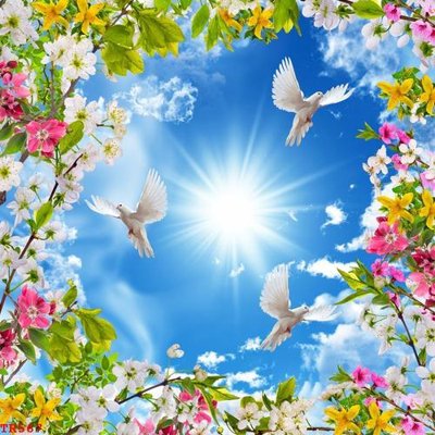 File gốc File tranh trần mây 3d TR567 (AI/EPS) cho in ấn