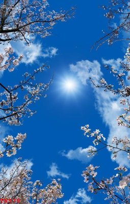 File PSD File tranh trần mây 3d TR570 (bản gốc) đã tách nền