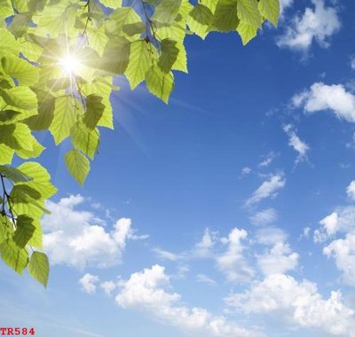 File tranh File tranh trần mây 3d TR584 (bản gốc) in lụa 5D