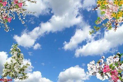 File tranh File tranh trần mây 3d TR589 (gốc) phong cách tối giản