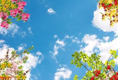 File ảnh gốc File tranh trần mây 3d TR593 không vỡ nét