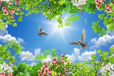 File in mica File tranh trần mây 3d TR603 (bản gốc) làm vách ngăn