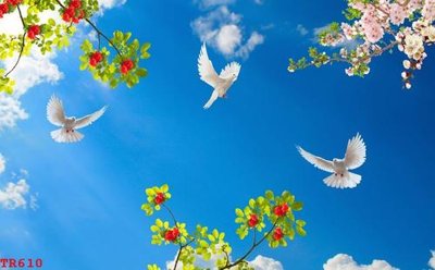 Tải file gốc in lụa File tranh trần mây 3d TR610 siêu nét