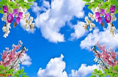 File tranh File tranh trần mây 3d TR614 (ảnh gốc) in trần nhà